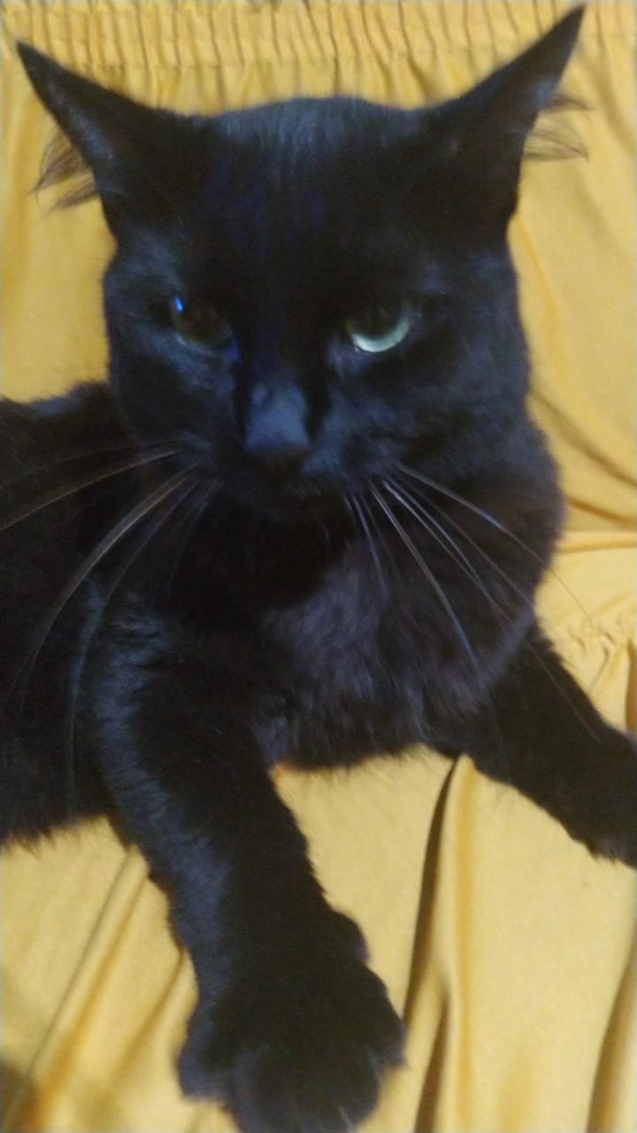 Foto de JAIRO DE OLIVEIRA SOUZA